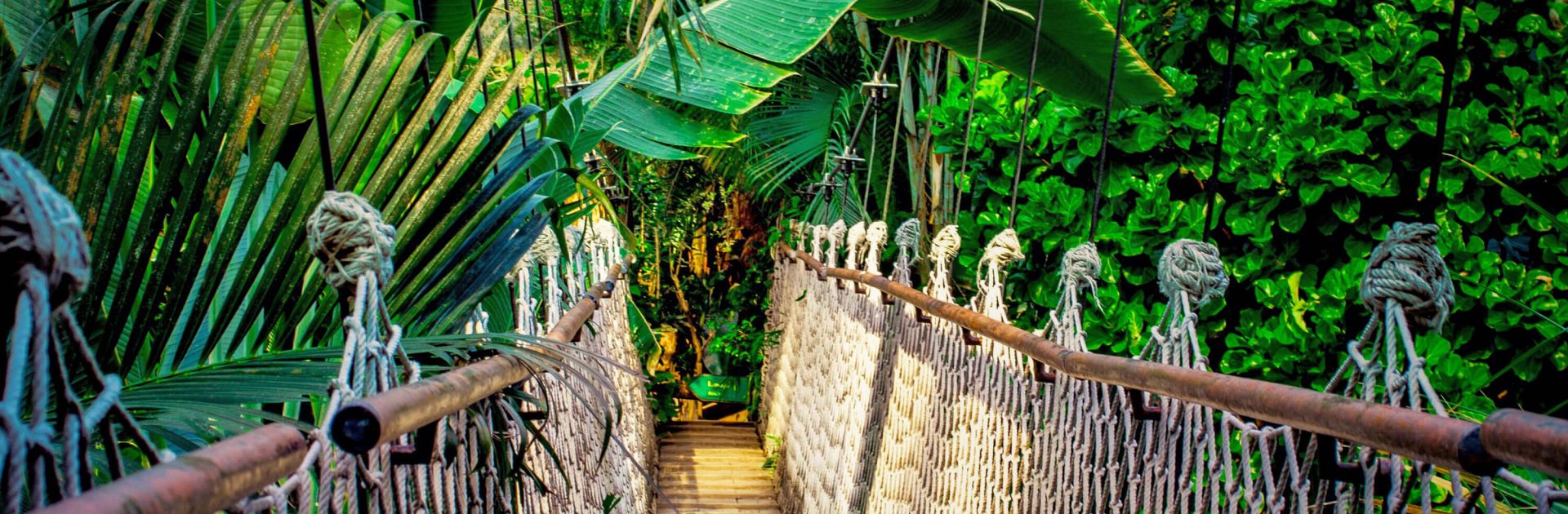 Gondwanaland Zoo Leipzig Schaltschrankbau